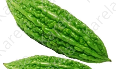 Karela